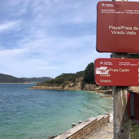 Vicia * 奥维塞多