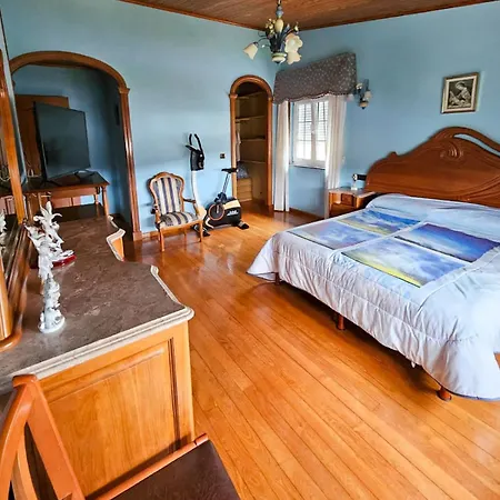 Vicia بيت للعطل *